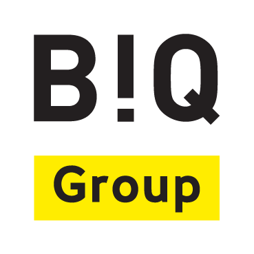 Biq Group Logo